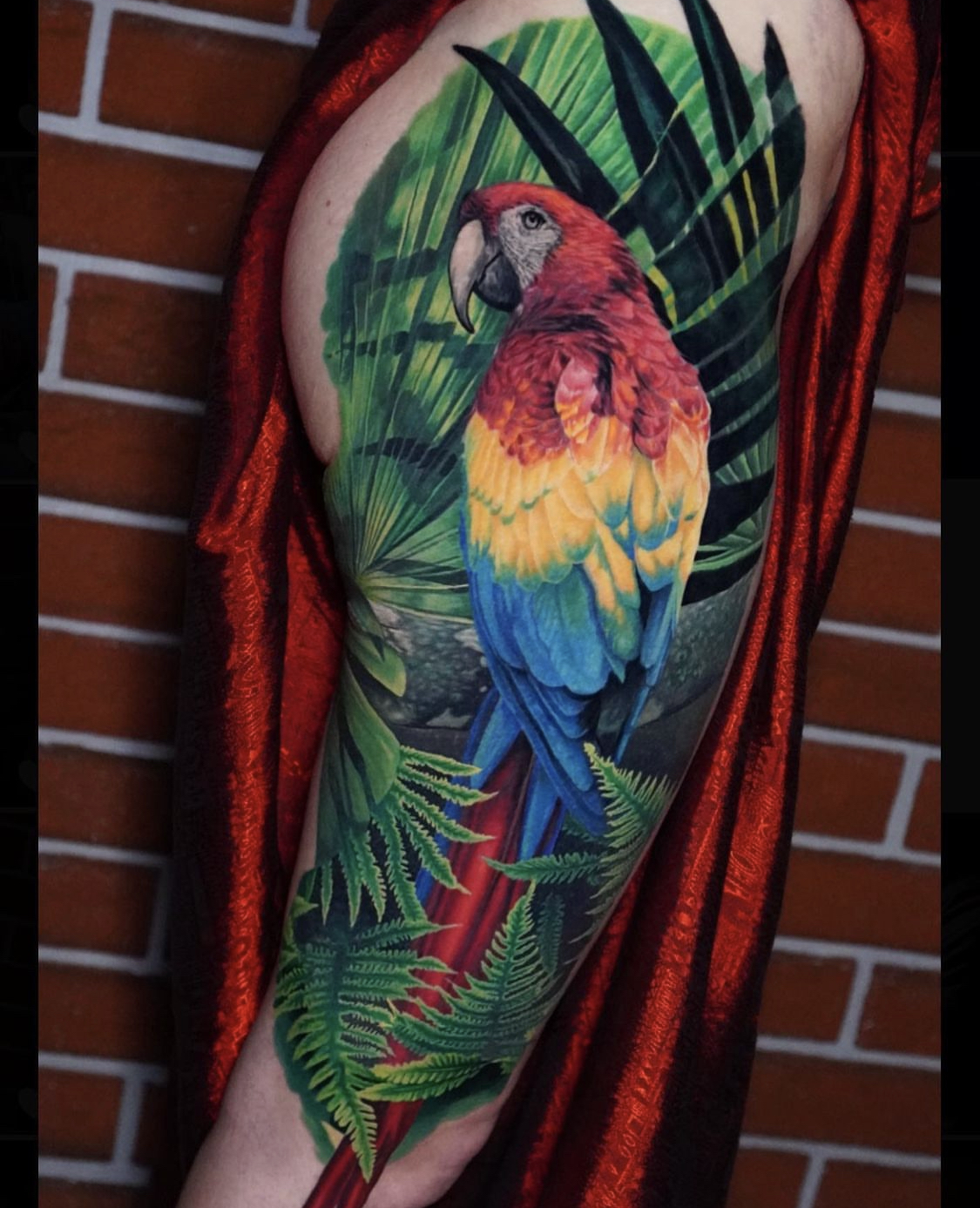 Mein Papagei Tattoo